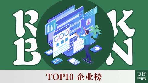 2021年中国人力资源服务行业TOP10企业榜 软件外包服务领域洞察
