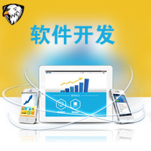 软件外包服务全解析 报价、收费模式与九品制服务分级